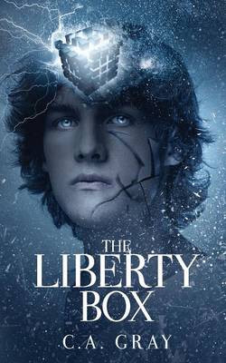 Book cover for The Liberty Box