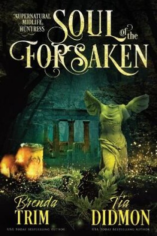 Cover of Soul of the Forsaken