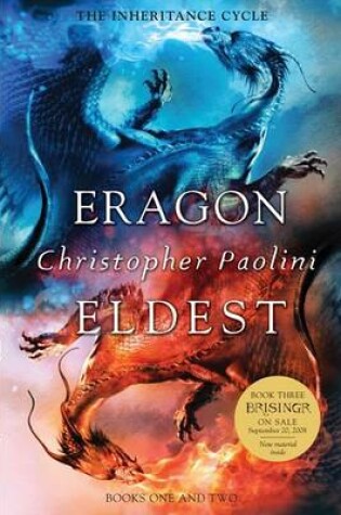 brisingr book cover