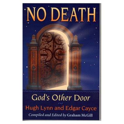 Book cover for No Death