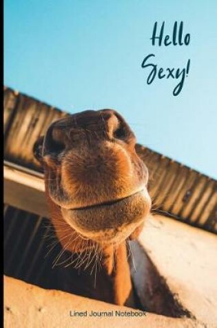 Cover of Hello Sexy