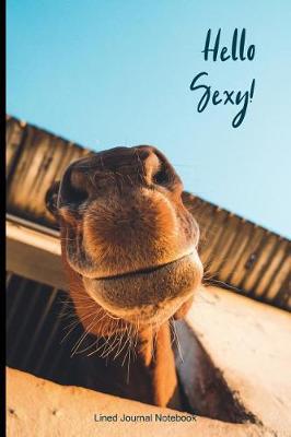 Book cover for Hello Sexy