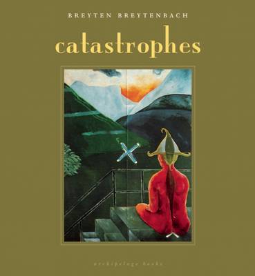 Book cover for Catastrophes