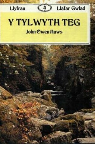 Cover of Llyfrau Llafar Gwlad:4. Tylwyth Teg, Y