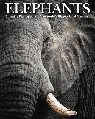 Cover of Elephants