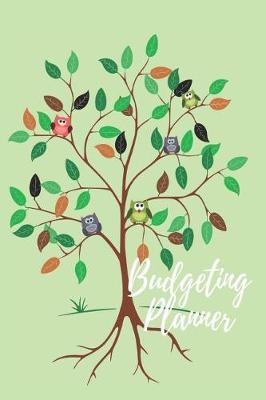 Book cover for Budgeting Planner