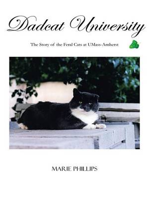 Book cover for Dadcat University