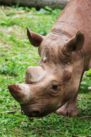 Cover of A Rhinoceros African Animal Portrait Journal