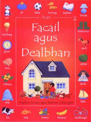 Book cover for Facail Agus Dealbhan