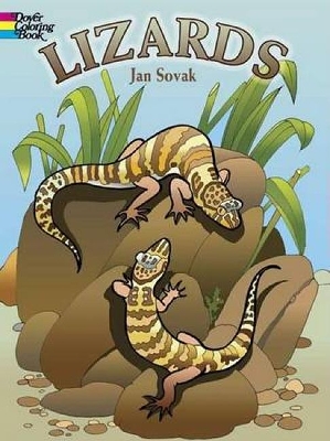 Book cover for Lizards