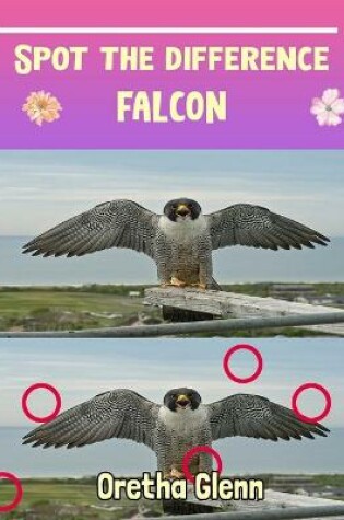 Cover of Spot the difference Falcon