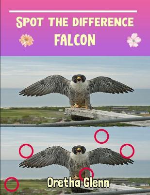 Book cover for Spot the difference Falcon
