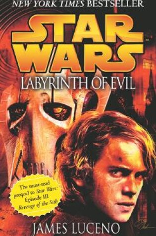 Cover of Labyrinth of Evil