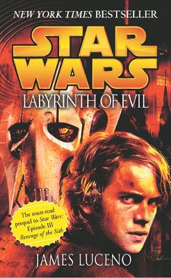 Book cover for Labyrinth of Evil