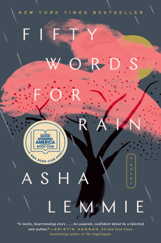 Book cover for Fifty Words for Rain