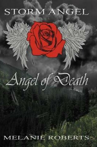 Cover of Storm Angel