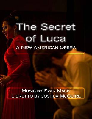 Book cover for The Secret of Luca