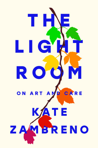 Book cover for The Light Room