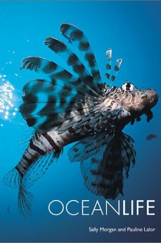 Cover of Ocean Life