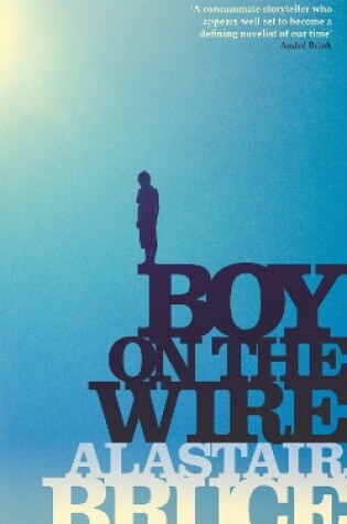 Cover of Boy on the Wire