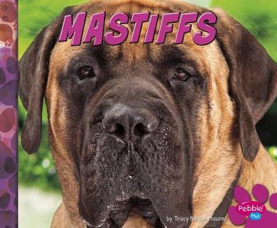 Cover of Mastiffs