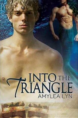 Cover of Into the Triangle