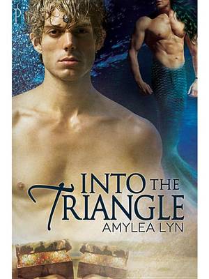 Book cover for Into the Triangle