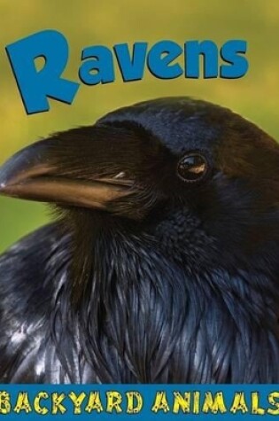 Cover of Ravens