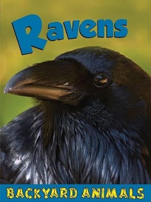 Book cover for Ravens