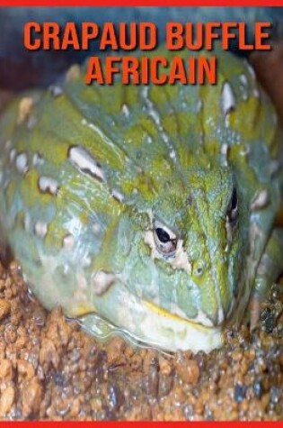 Cover of Crapaud Buffle Africain