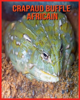 Book cover for Crapaud Buffle Africain