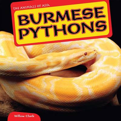 Book cover for Burmese Pythons