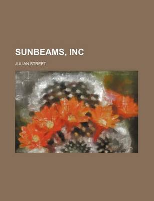 Book cover for Sunbeams, Inc