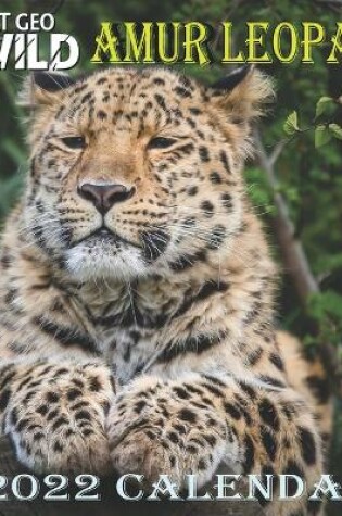 Cover of Amur Leopard Calendar 2022