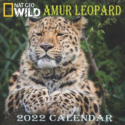 Book cover for Amur Leopard Calendar 2022