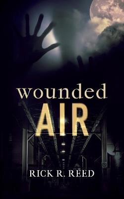 Book cover for Wounded Air