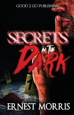 Book cover for Secrets in the Dark