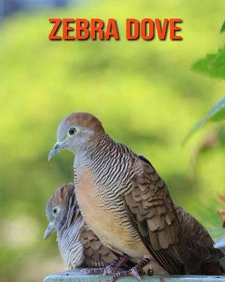 Book cover for Zebra Dove