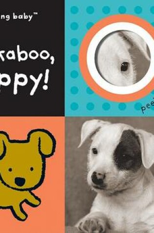 Cover of Amazing Baby Peekaboo Puppy (Brd)