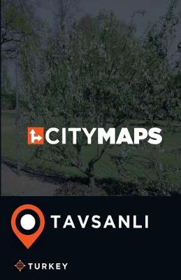 Book cover for City Maps Tavsanli Turkey