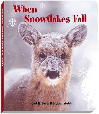 Book cover for When Snowflakes Fall