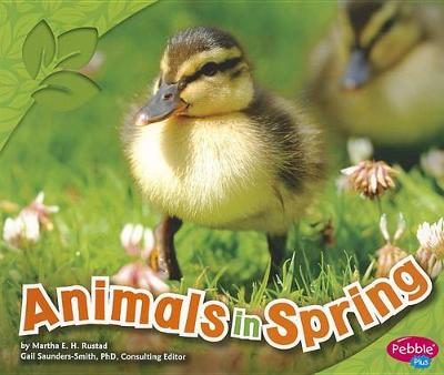 Book cover for Animals in Spring