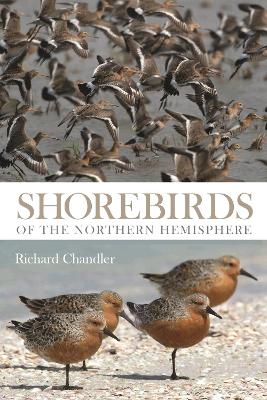 Book cover for Shorebirds of the Northern Hemisphere