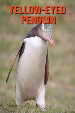 Cover of Yellow-Eyed Penguin