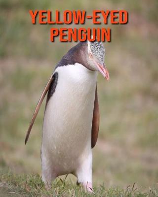 Book cover for Yellow-Eyed Penguin