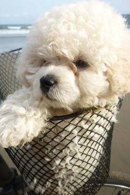 Book cover for Mini Poodle in a Basket (for the Love of Dogs)