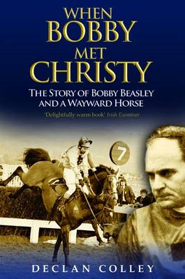 Book cover for When Bobby Met Christy