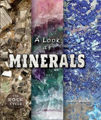 Book cover for A Look at Minerals