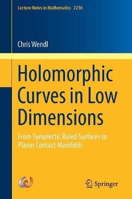 Cover of Holomorphic Curves in Low Dimensions