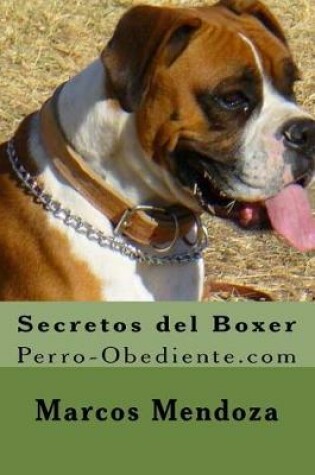 Cover of Secretos del Boxer